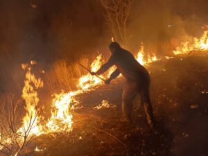 Fire at the Etosha National Park